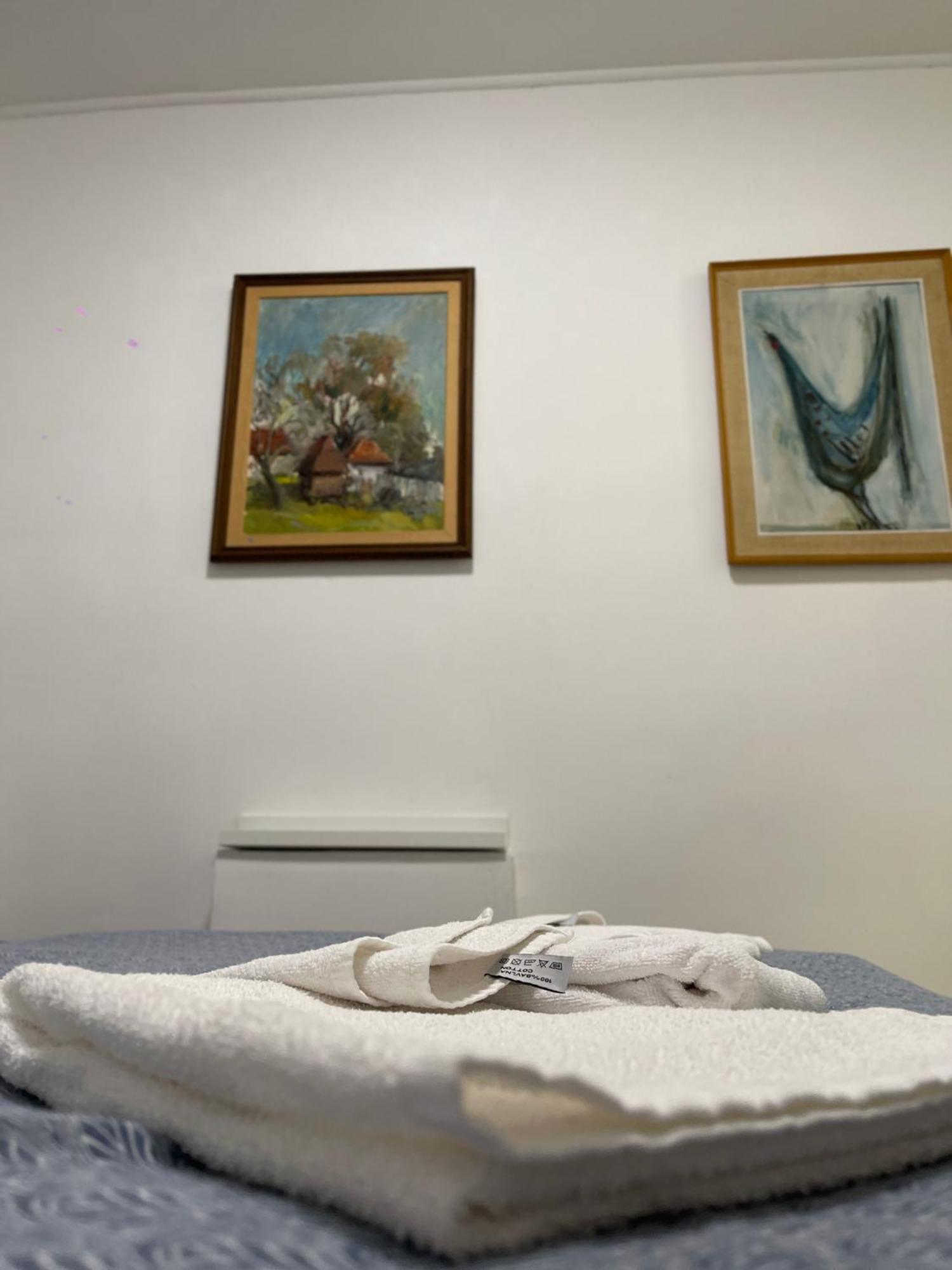 Ag Double Bedroom Apartment เบลเกรด ภายนอก รูปภาพ